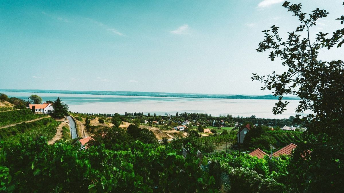 Zártkerti ingatlan illusztráció. Fotó: Unsplash