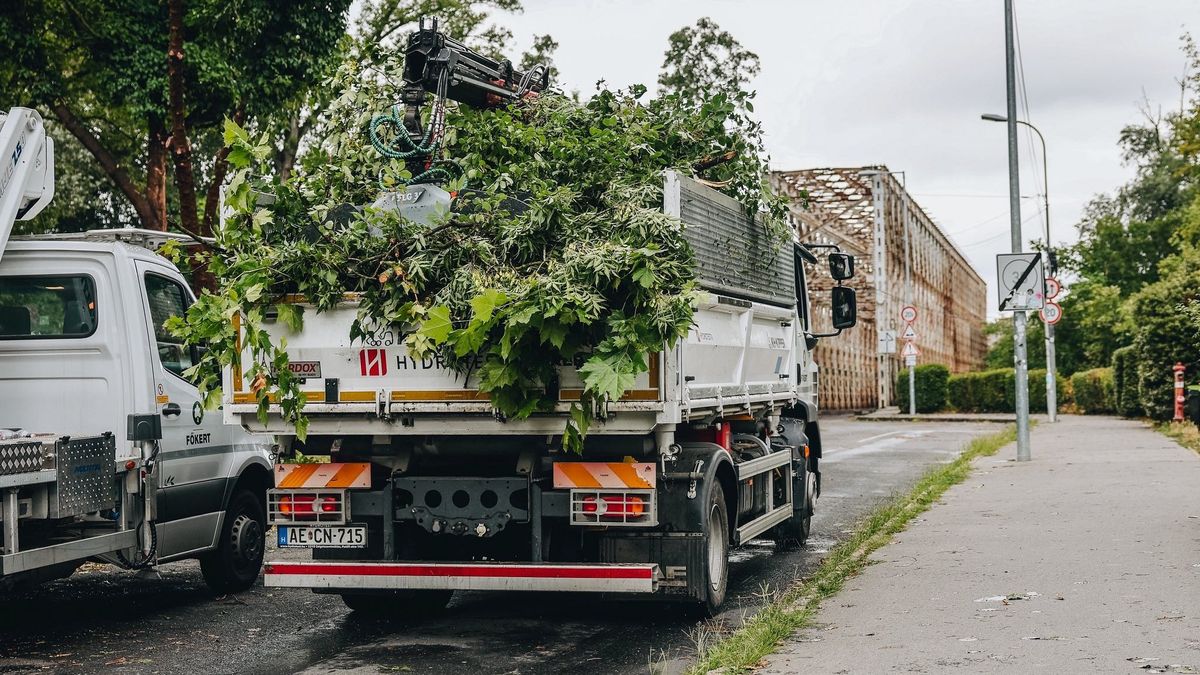 Jelentősek a viharkárok: továbbra sem látogatható az Óbudai-sziget 