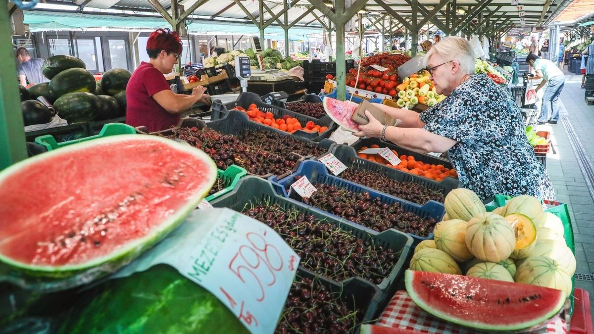 Meglepő lehet a dinnyeszezon kezdetén: a termelők szerint vannak olyan áruházi akciók, amelyekkel egyetértenek 