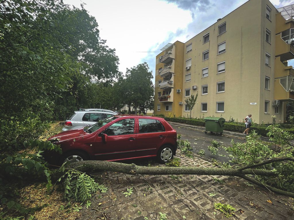 Szeged 2025.07.07. Vihar után Etelka sor
képen:
Fotó_ Török János TJ DM Délmagyar