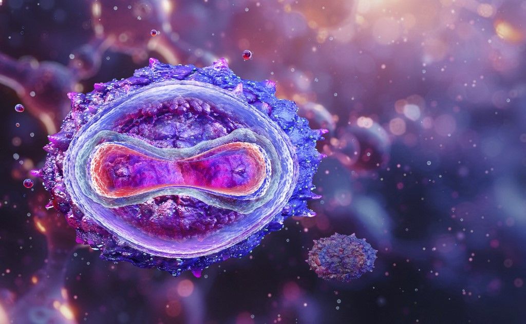 Mpox virus, illustration Újabb országban jelent meg a majomhimlő Gambia