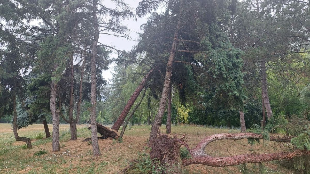 Pusztított a vihar: lezárták Budapest egyik legnagyobb szigetét – senki se mehet oda 