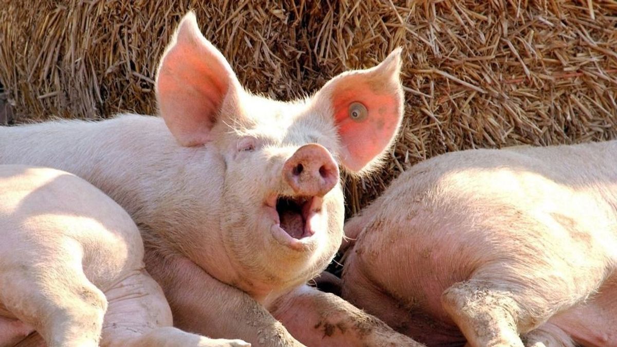 Még nem jött el a fordulat az agrárhitelezésben 