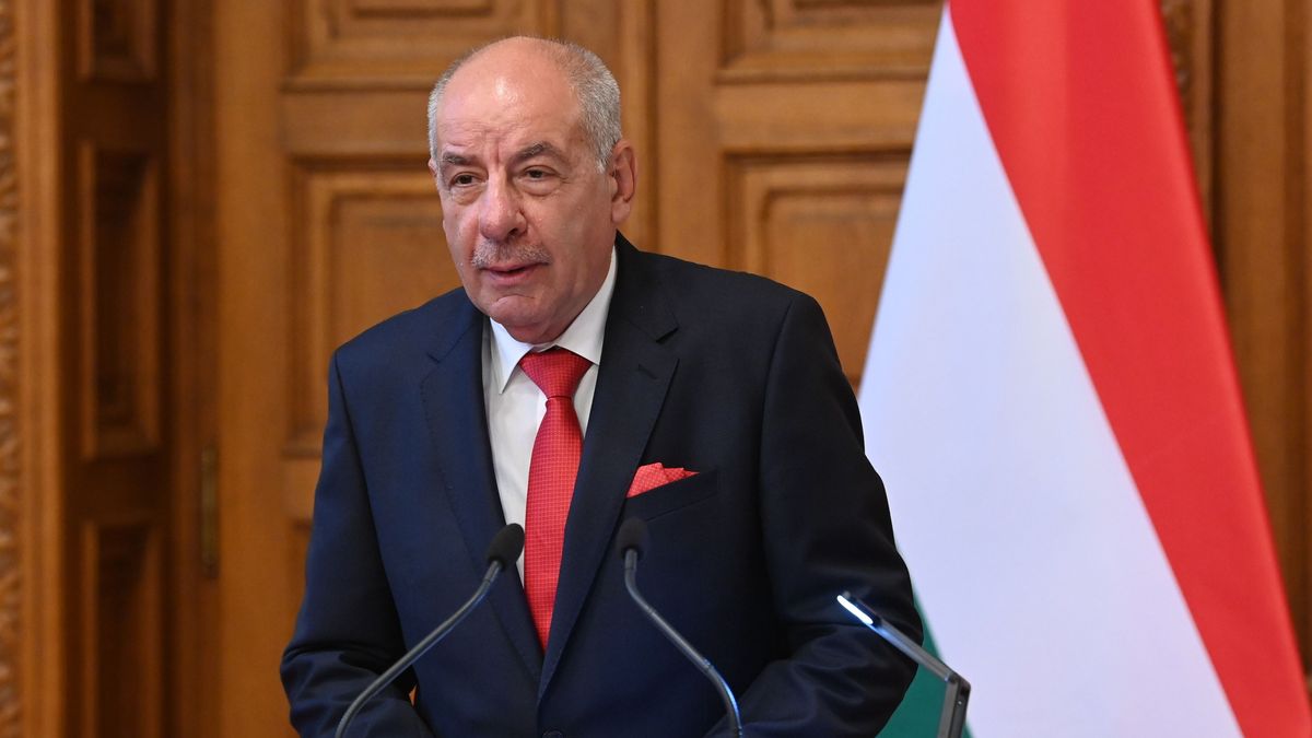 Sulyok Tamás levelet írt az agyonvert magyar férfi családjának: "Európában ilyen nem történhet meg" 
