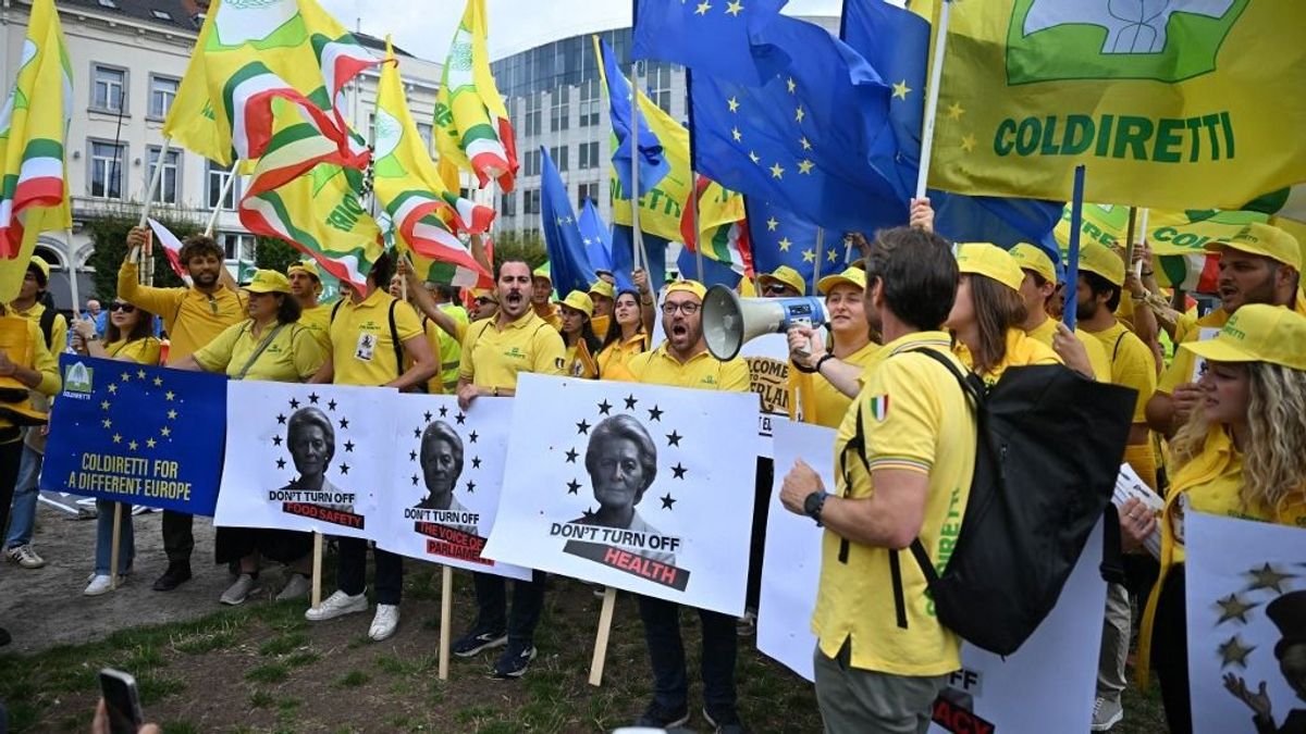 Ősszel újra traktordübörgéstől lesz hangos Brüsszel - ígérik a gazdaszervezetek 