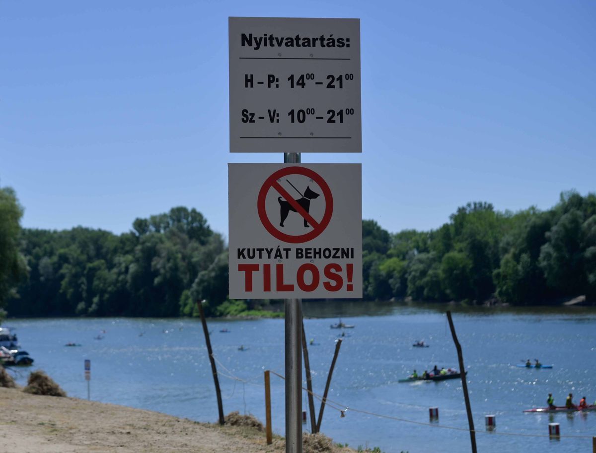 Ingyenes nyári paradicsom Szegeden: megnyílt a megújult Sárga strand