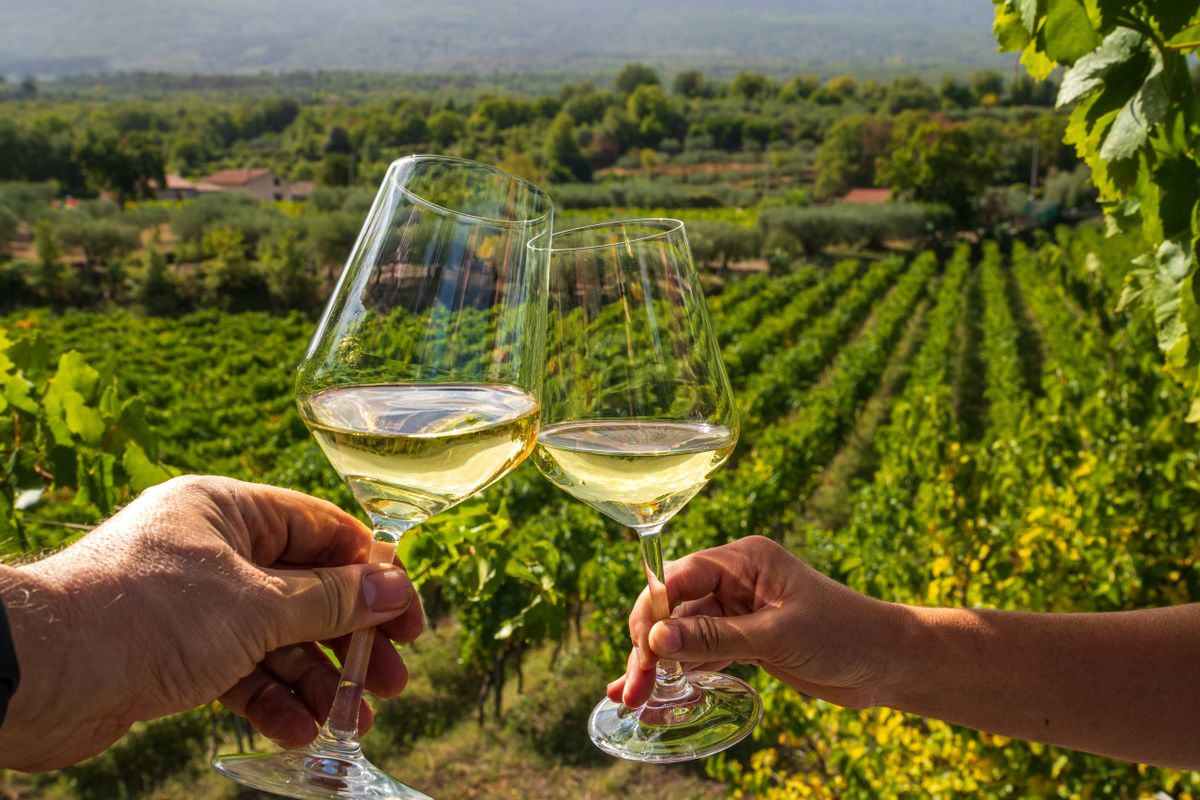 Cheers,With,Two,Glasses,Of,White,Wine,In,Sicilian,Vineyard, Master of Wine