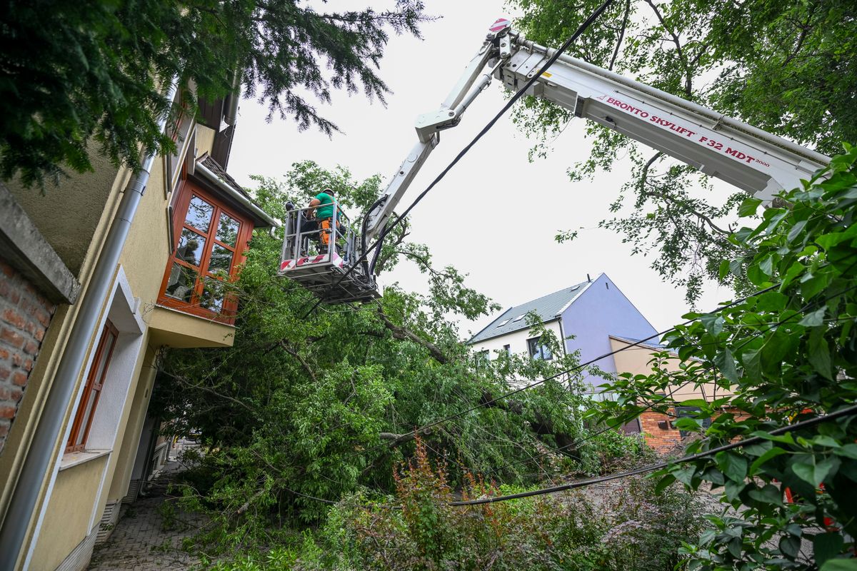 Több mint tízezer káreseményt jelentettek be a Magyarországon átvonult viharok után