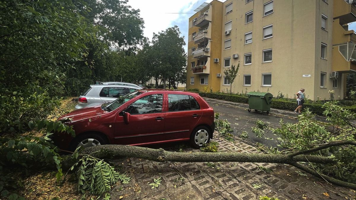 Vihar pusztított Magyarországon: kidőlt fák és sérült épületek adtak munkát a tűzoltóknak 