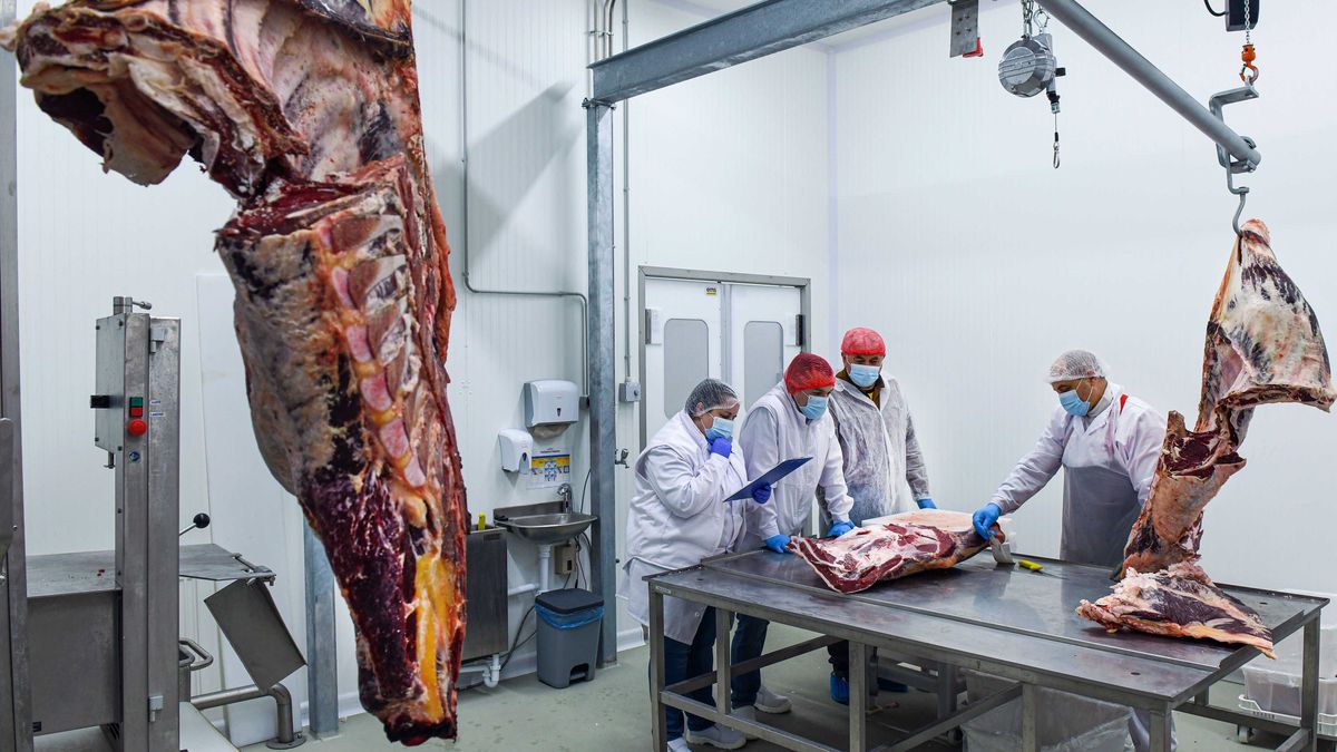 Jöhet az élelmiszeripari beruházási boom: kétszázmilliárd forint támogatásról döntöttek, és még nincs vége 