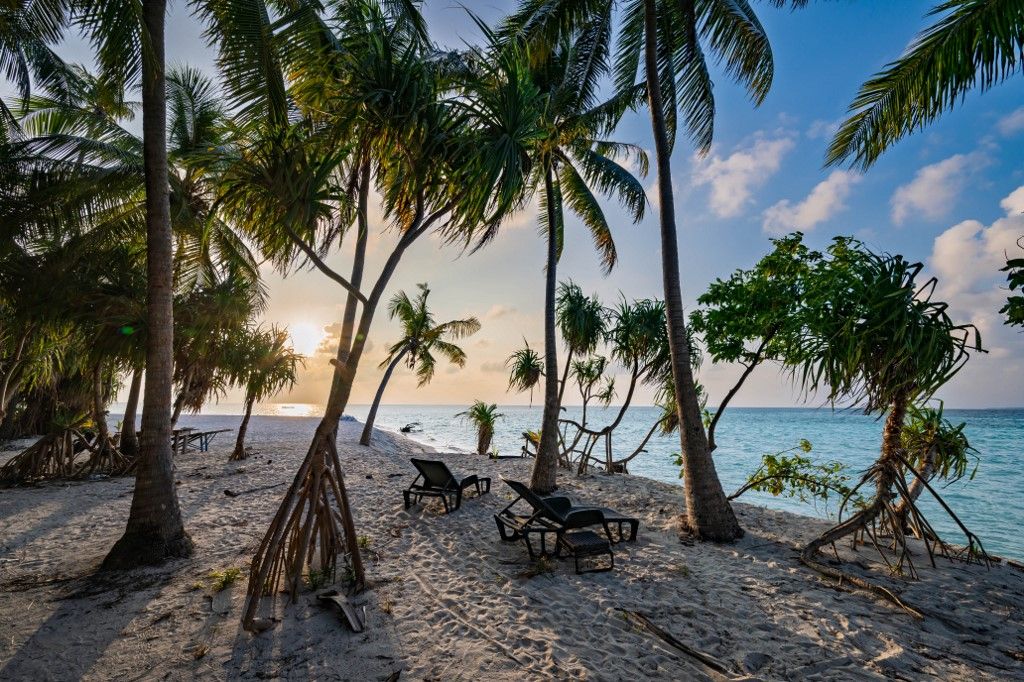MALDIVES. HIMANDOO. ARI ATOLL. PALM-FRINGED BEACH AT SUNSET sziget luxus