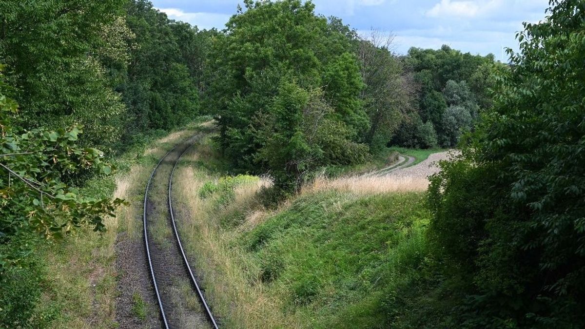 Baloldali szélsőségeseket sejtenek a német vasutat bénító kábeltüzek mögött