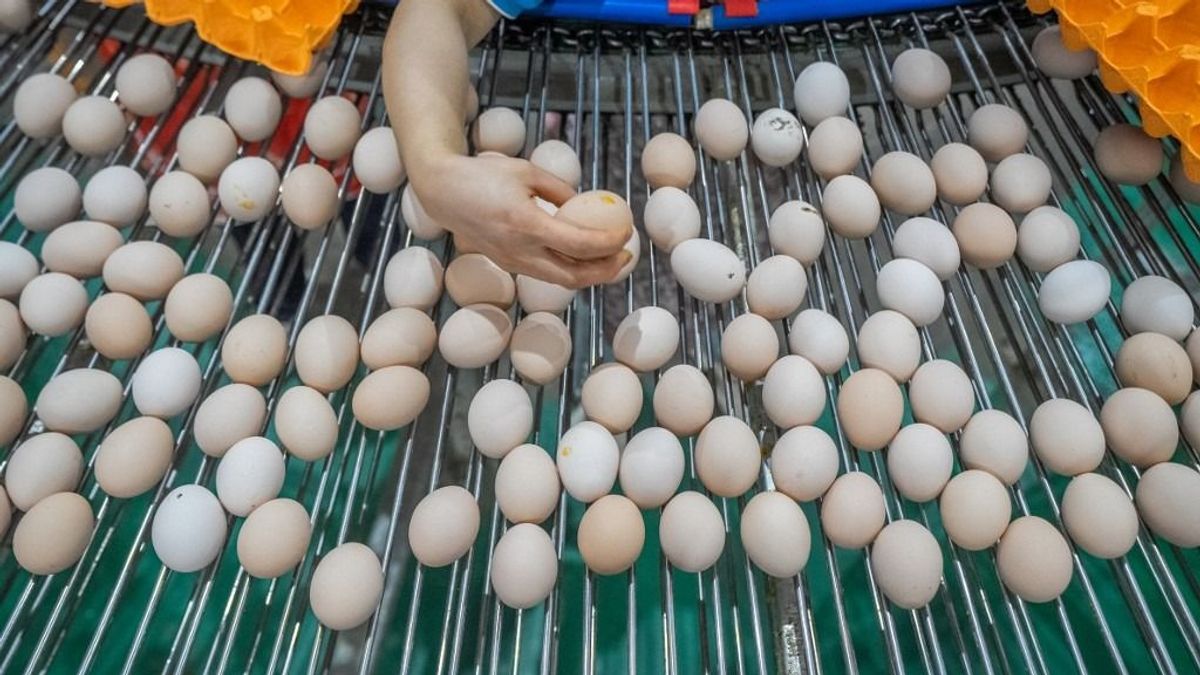 Ukrán tojászápor Európára: fél év, duplázódó export 