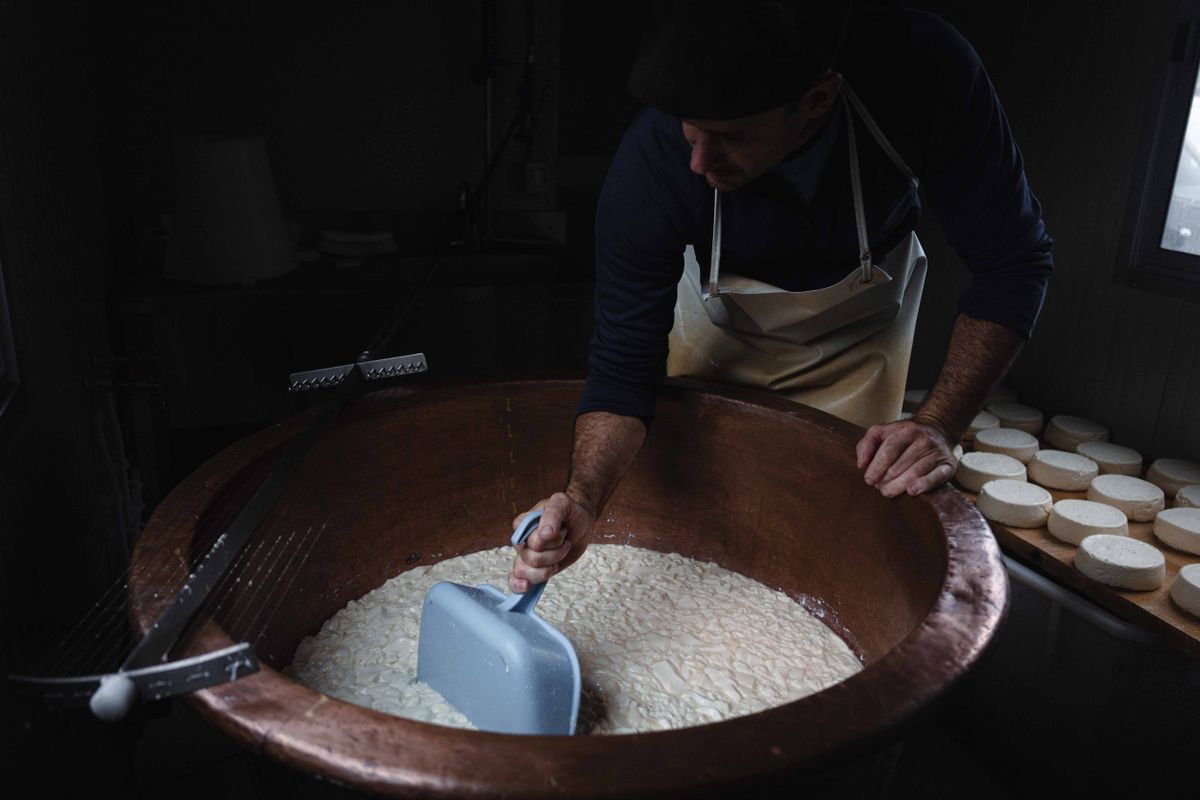 FRANCE-TRANSHUMANCE-DAIRY-COWS-CHEESE-MANUFACTURING-BASQUE-COUNTRY