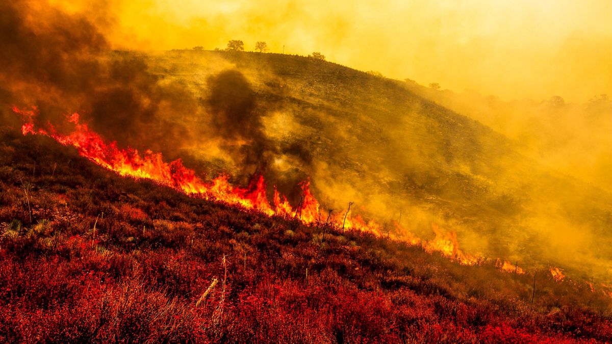 Wildfire Rages Through Los Padres Forest los angeles