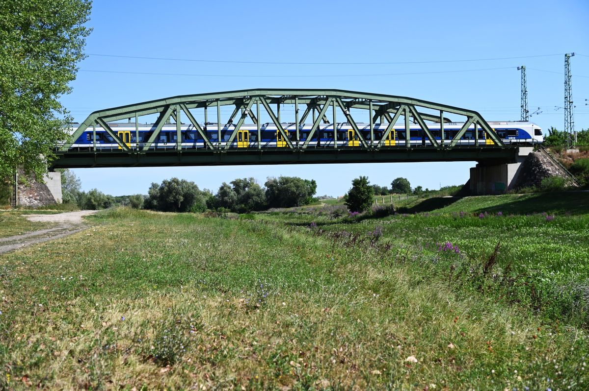 A Zagyva medre zöldben pompázik, eltűnt a víz