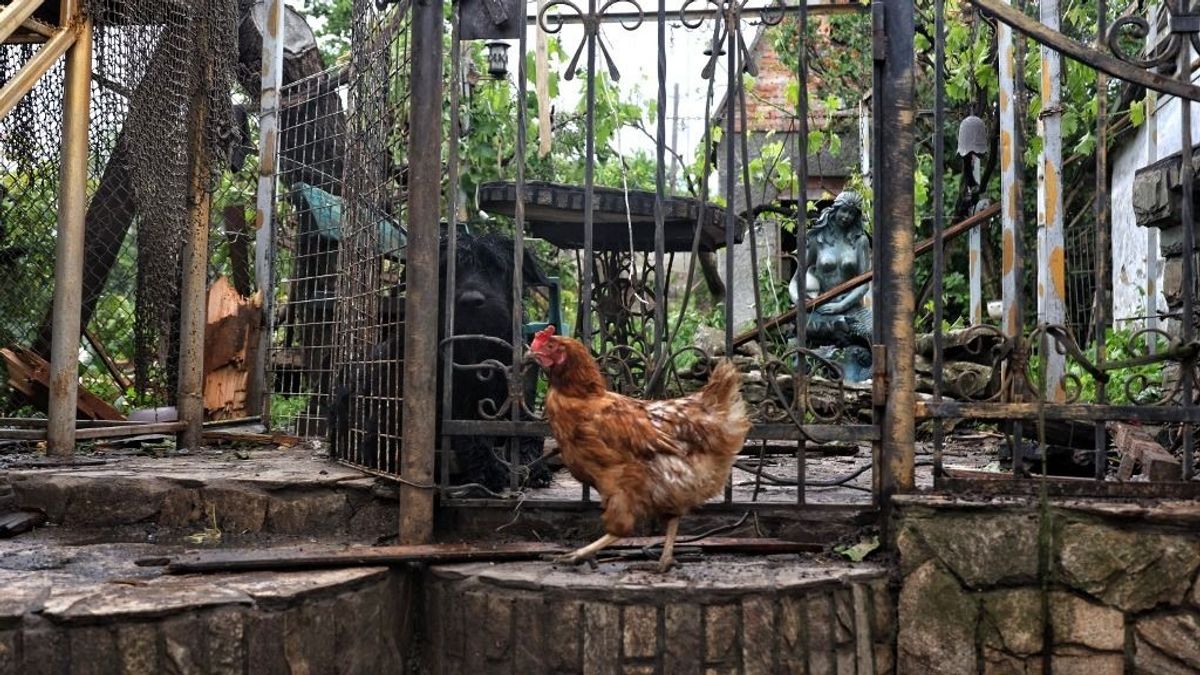 Csőre töltve: elfogadás előtt az ukrán kereskedelmi megállapodás