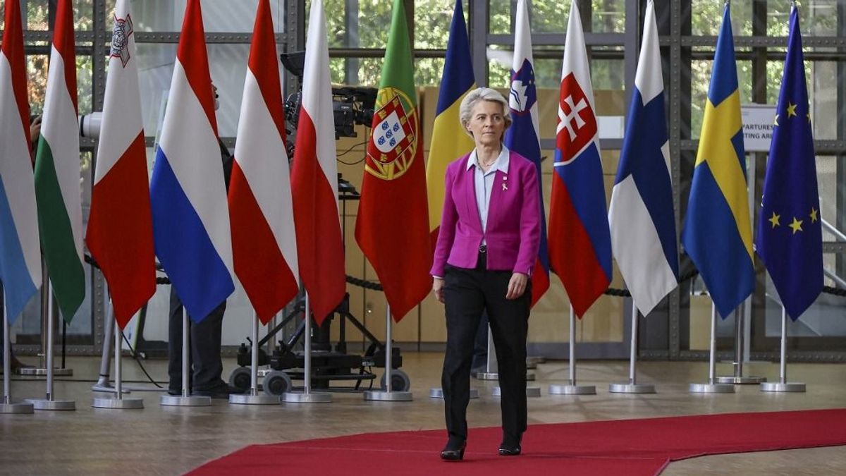 Béke Ukrajnában: megérkezett Európa súlyos válasza Trumpnak, máris benyújtotta az ellentervét – felvonult Zelenszkij mögött az uniós elit 