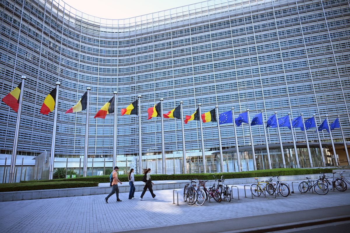 vízum, brüsszel, rövid távú vízum, hosszú távú vízum, Belgium celebrates '194th National Day' with royal ceremony in Brussels