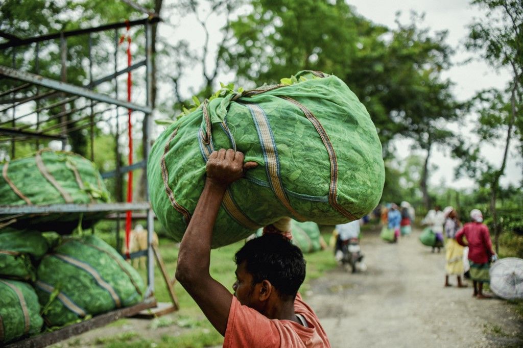 India