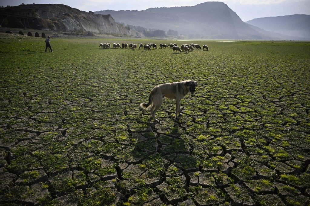 Drought in Bulgaria