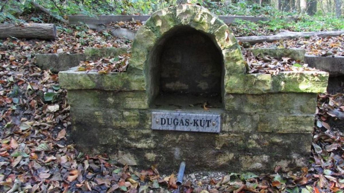 Sorscsapás: elapadt a magyar vármegye leghíresebb forrása, kiszáradhat egy tó – megszólalt az erdészet 