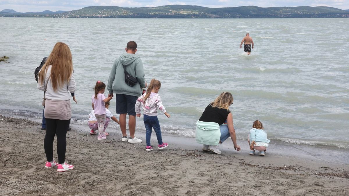 Nincs vége az árvaszúnyog-inváziónak a Balatonnál: amellett, hogy tilos, technikailag is lehetetlen az irtás