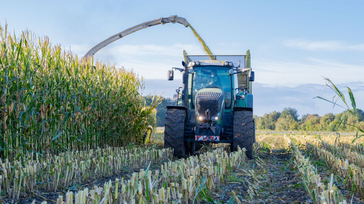 traktor, állattenyésztés gépei