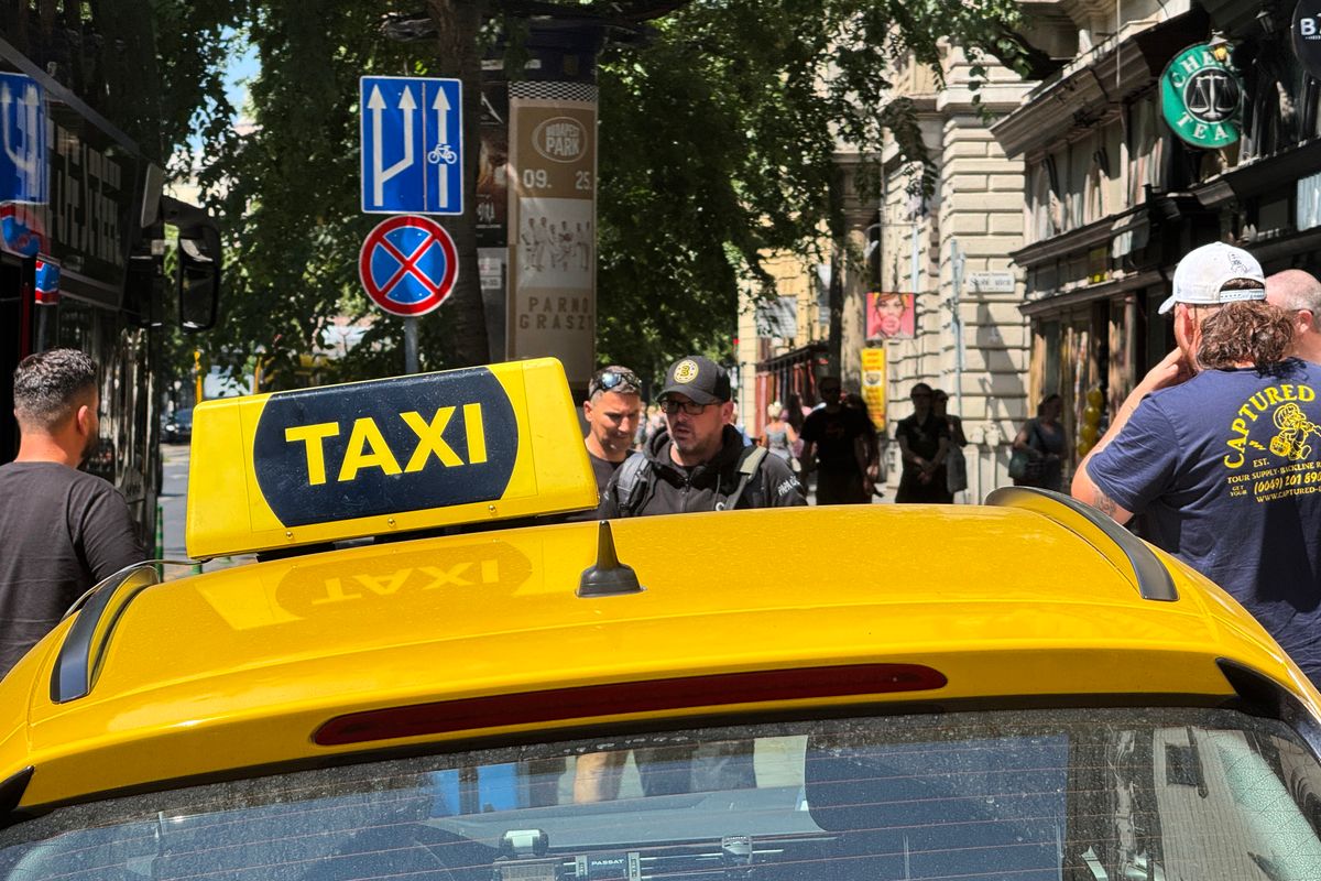 taxi, taxisofőr