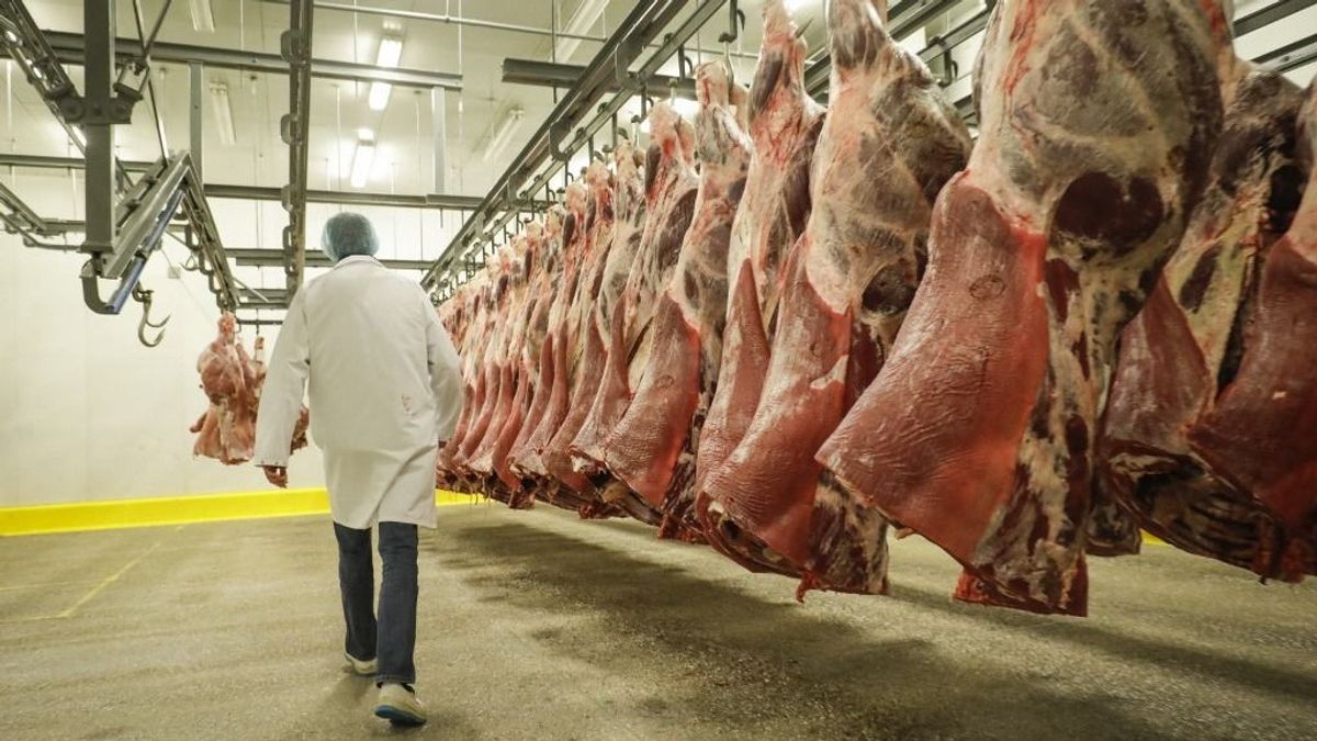 Bikainvázió a vágóhidakon – kétszer annyit vágtak le belőlük, mint egy évvel korábban