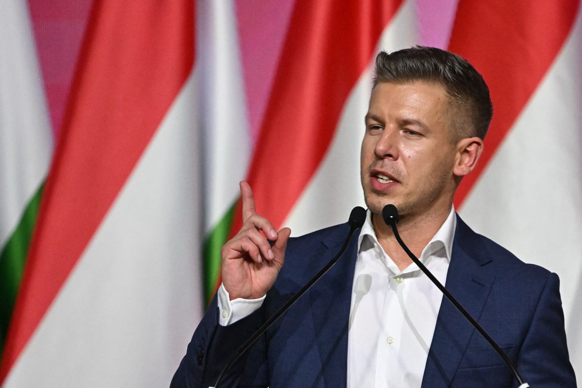 Magyar Péter nyilatkozat stoppot rendelt el, de így is van dolga bőven, hogy az emberei azt mondják, amit hallani akar