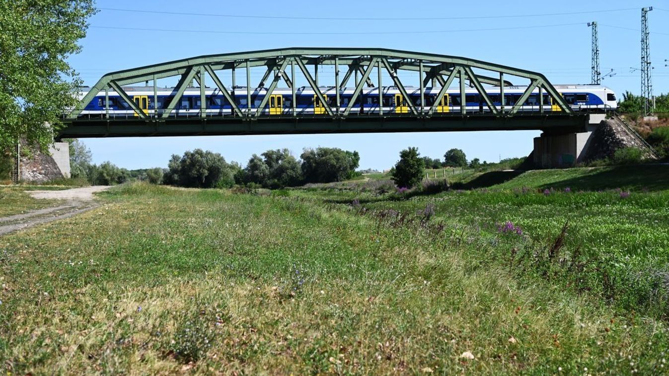 A Zagyva medre zöldben pompázik, eltűnt a víz Kép