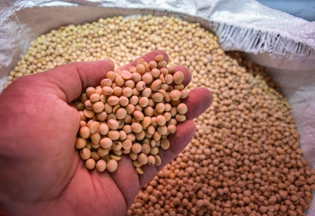 Indonesia Imports Soybeans From The United States
