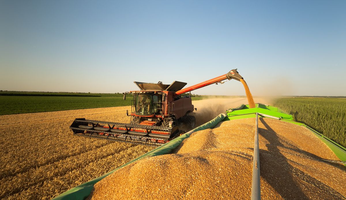 The,Combine,Harvester,In,A,Picturesque,Golden,Wheat,Field,At, klímaváltozás
