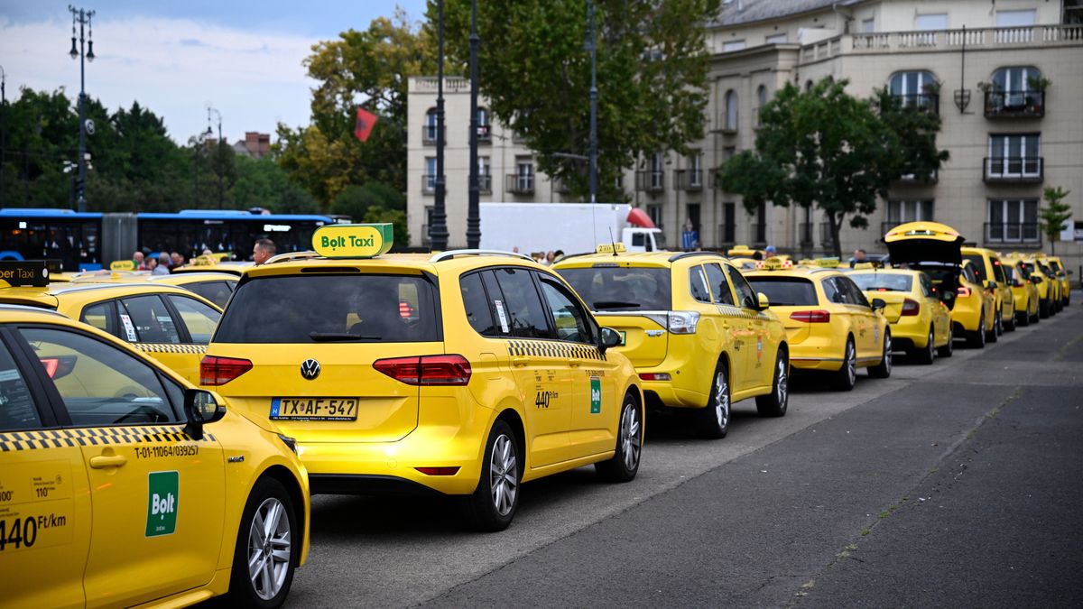 taxis tüntetés