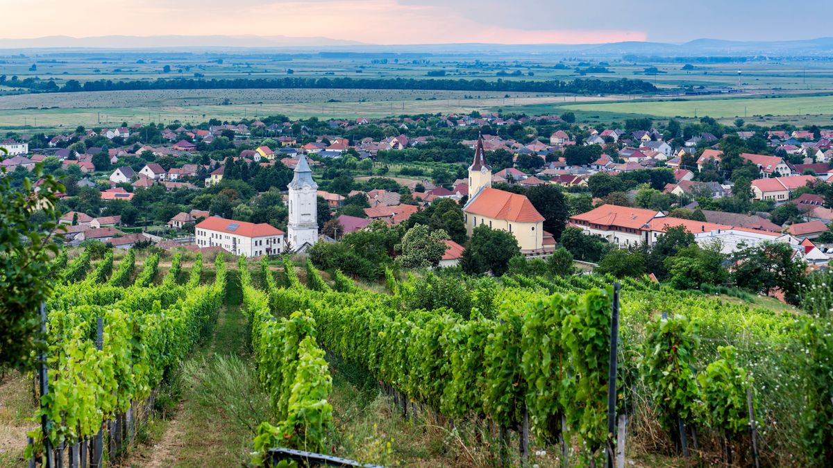 TokajHegyalja,Panoramic,View,Of,Tarcal,Village,In,Tokaj,Wine,Region,,Hungary