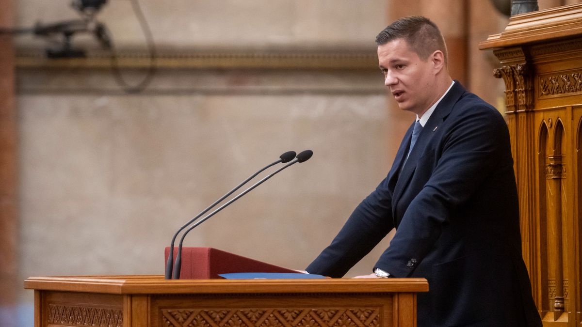 adócsökkentési program