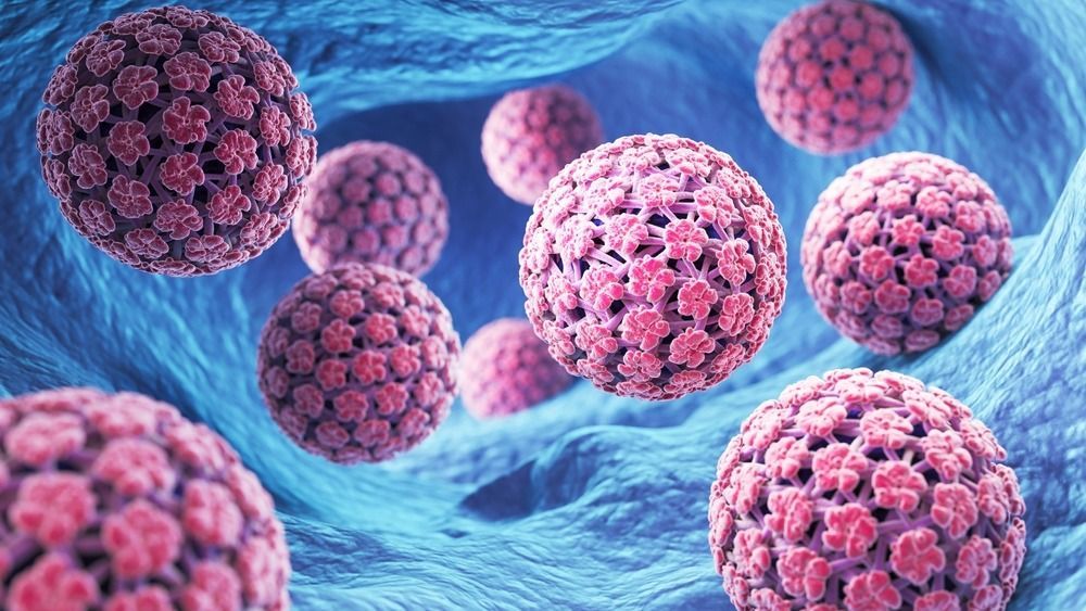 humán papillomavírus (HPV) elleni védőoltás