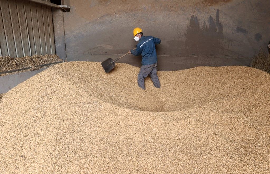 Imported soybeans