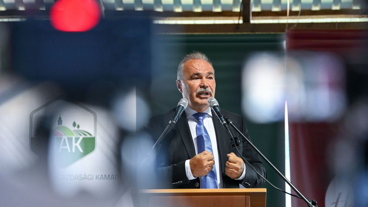Nagy István: Brüsszel költségvetési terve Ukrajnába irányítaná a gazdák pénzét, és bedöntené az agráriumot