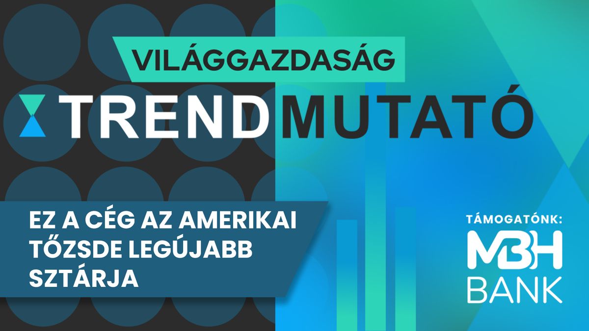 Ez a cég az amerikai tőzsde legújabb sztárja