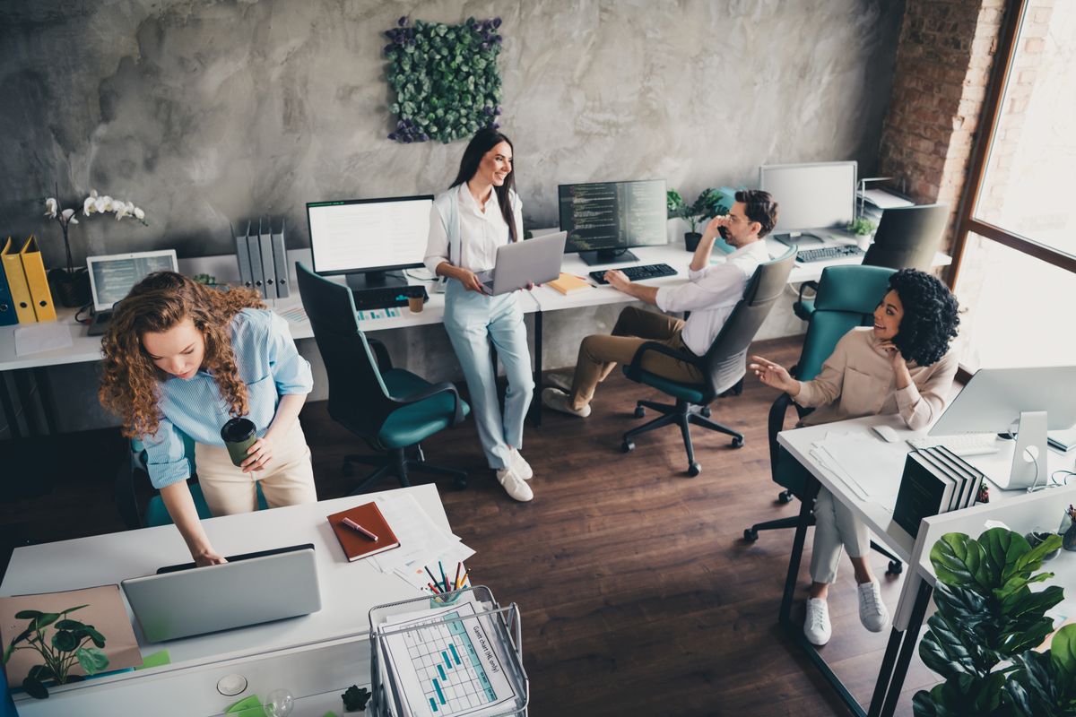 Photo,Of,Successful,Young,Happy,People,Office,Workers,Discuss,Project béremelés