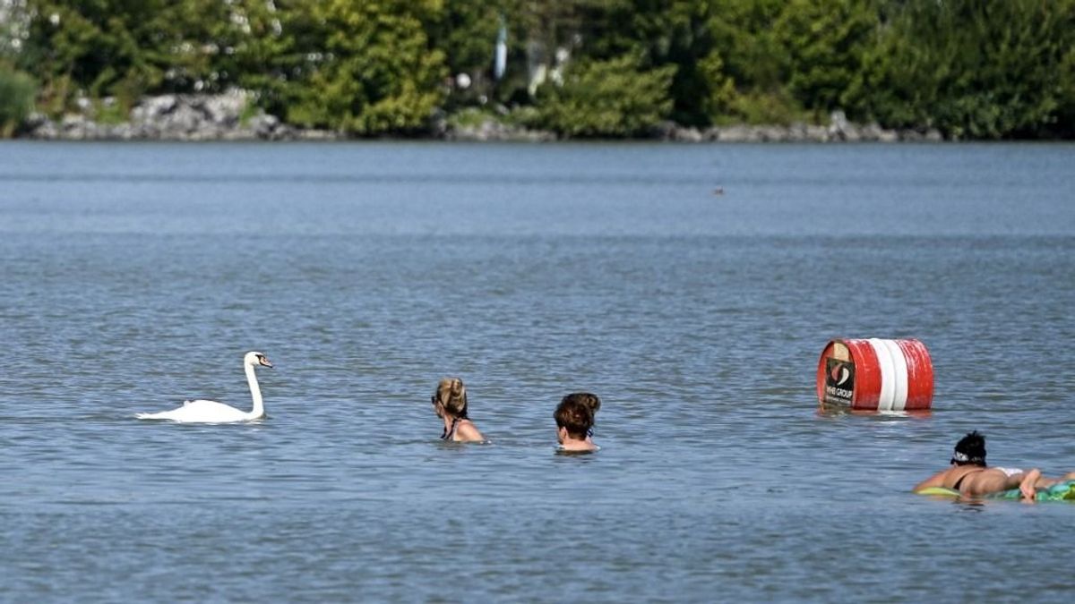 A Balatonba borzalmas mennyiségű vegyszer kerül naponta, nem is gondolnák a fürdőzők 