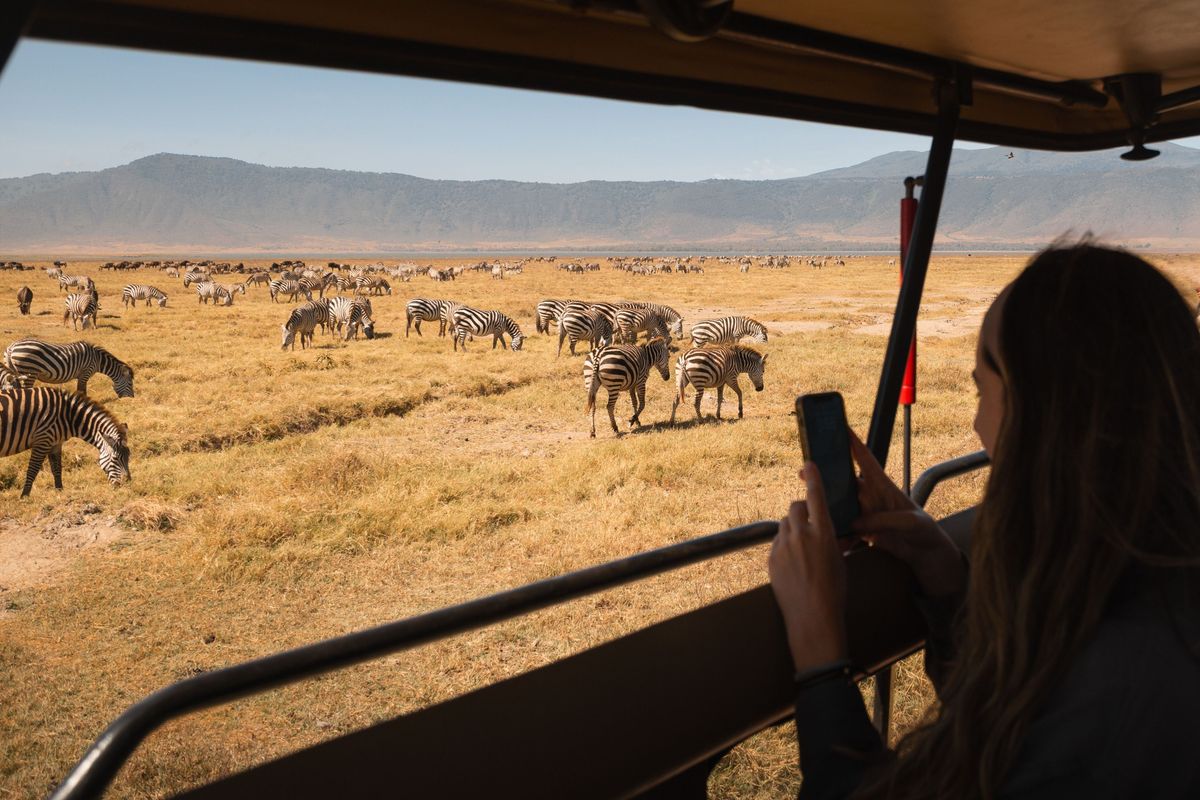 Tourist,Taking,Pictures,Of,Zebras,Grazing,In,The,Ngorongoro,Crater,