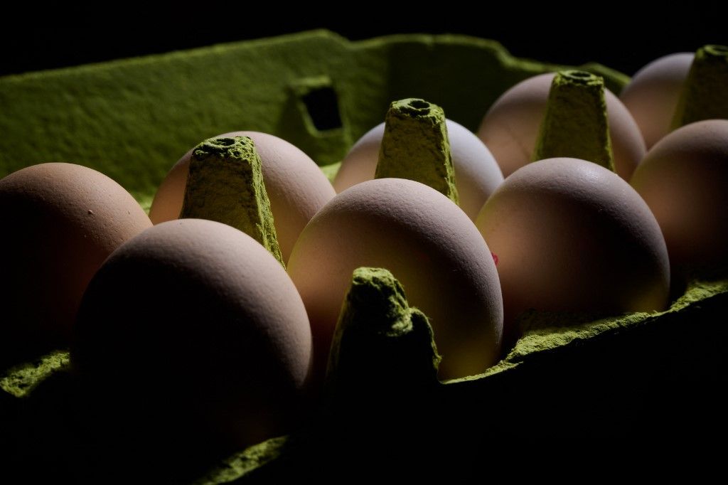 Egg Prices, ukrán tojás