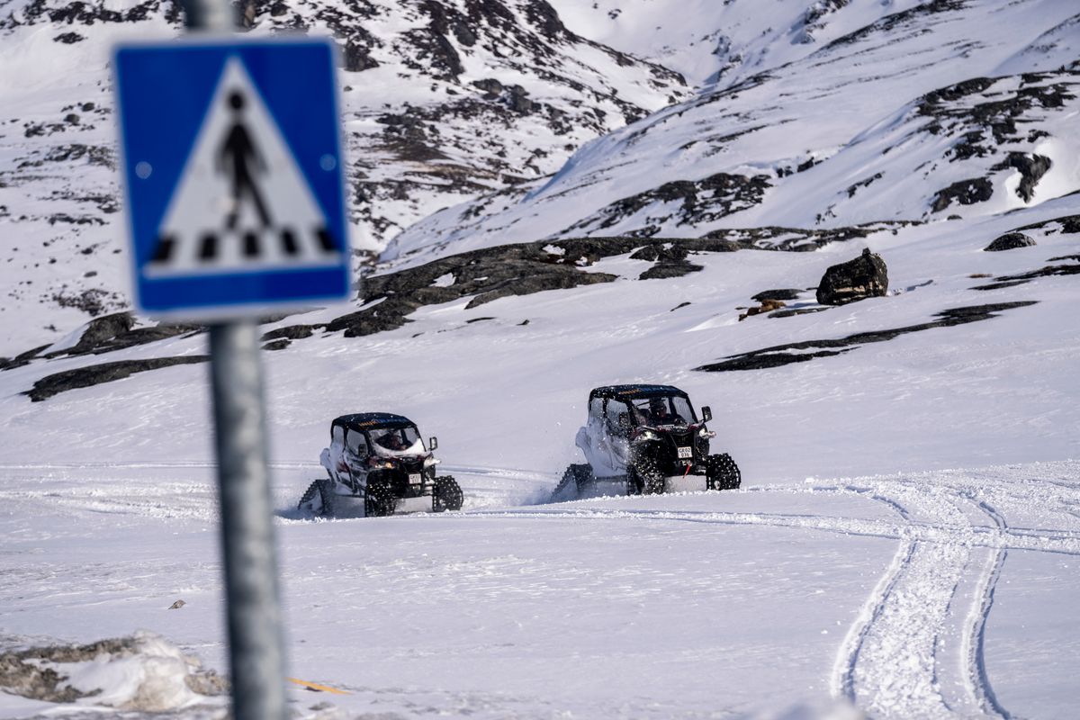 Grönland, Greenland
Dánia, NATO
