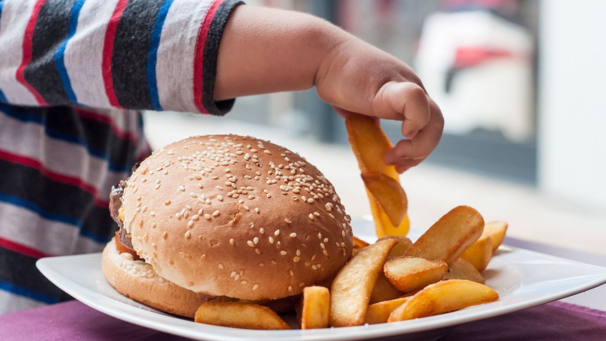 Ennyi volt, leáldozott a vegetáriánus hamburgereknek - döntött Brüsszel, nincs olyan, hogy húsmentes hús 