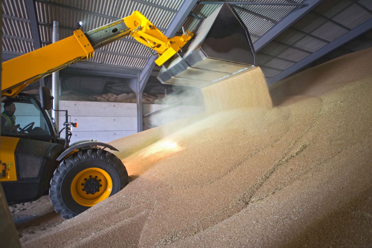 Dumper,Truck,Unloading,Wheat,Into,Grain,Store, termékpiaci törvény