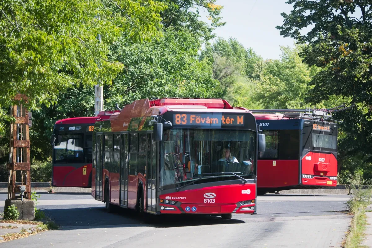 busz, magyar, 