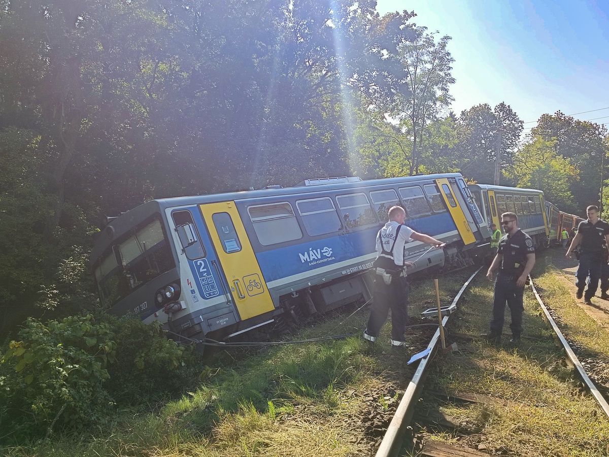 kisiklott, BZ, vonat, vonatbaleset, MÁV, Verőce, Magyarkút 